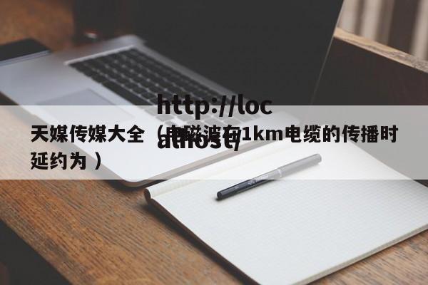 天媒传媒大全（电磁波在1km电缆的传播时延约为 ）